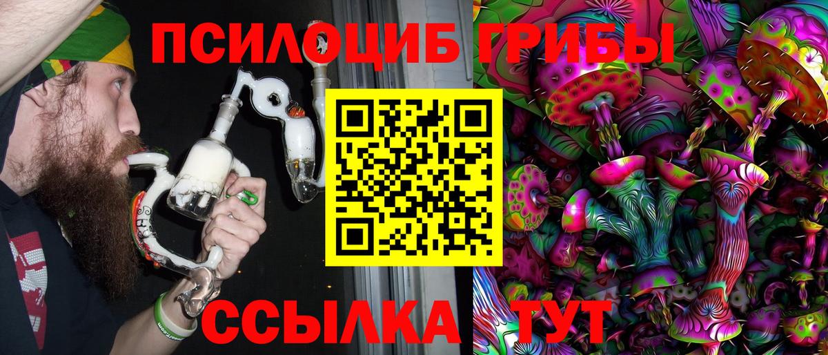Псилоцибиновые грибы Psilocybe Новодвинск