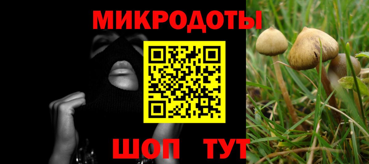 Новодвинск  Псилоцибиновые грибы Psilocybe  Вход с VPN 
